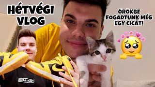 Meg tudom magyarázni…🐱| VLOG