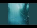 Harmony in the Rain (Solo Version)