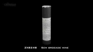 Showtime PSE - ZX8248 - 30m brocade mine