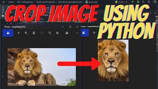 how to crop a image using python (python pillow tutorial #3)