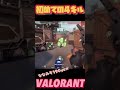 valorant〜初めての4キルっ🐾 valorant ヴァロラント 初心者ゲーマー