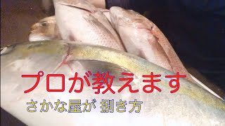 【元魚屋】魚の捌き方教えます