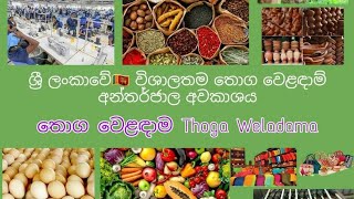 තොග වෙළඳාම Thoga Weladama Channel trailer