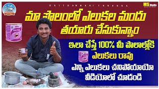 elukala nivarana telugu మీ పొలాల్లో ఎలుకలకు ఇలా చేసినట్లయితే 100% రావు Raithannaki thoduga