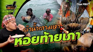 หอยท้ายเภา | ภัตตาคารบ้านทุ่ง