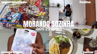 MORANDO SOZINHA AOS 23: supermercado, faxina, comprinhas, organização e janta 🏠🧹🧺