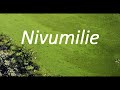 Nivumilie - Bongo flavour instrumental /Afro pop beat  /African zouk Instrumental Music 2019