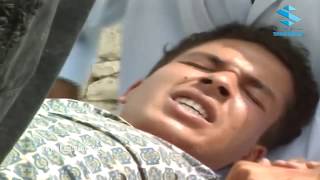 #x202b;مفيد الوحش قطع دنب الجحش وصارت مشكلة بالضيعة ـ شوفو شو عملو فيه#x202c;lrm;