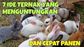 7 IDE TERNAK YANG MENGUNTUNGKAN DAN CEPAT PANEN, COCOK UNTUK PEMULA SEBAGAI BISNIS SAMPINGAN