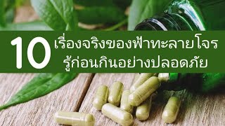 10 เรื่องจริงของฟ้าทะลายโจร รู้ก่อน กินอย่างปลอดภัย