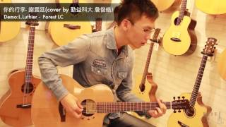 你的行李 謝震廷 cover (use L.Luthier - Forest LC )