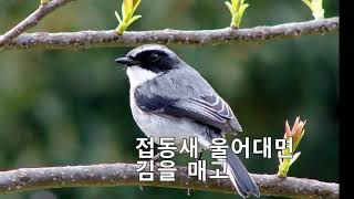 천년모정/최승화 노래/김향미 원곡