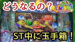 新海物語 どうなるの？ ST中に玉手箱！ 秘境モード パチンコ 甘デジ 99 海物語 プレミア サポートタイム カメ ノーマルビタ当たり 金魚群 保留連 カメエンブレムフラッシュ 一発告知 いつもの