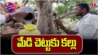 Medi Chettu Kallu : మేడి చెట్టు కల్లు... మీరు ఎప్పుడైనా తాగారా..? | Dhoom Dhaam | T News