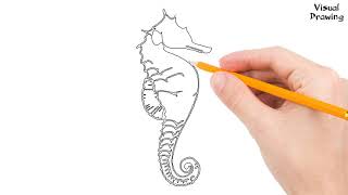 Seahorse Drawing Easy, How To Draw a Seahorse For Beginners Step By Step
