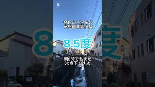 朝8時でも氷点下で寒さキツイ今朝の八王子駅南口周辺のイマソラ（2025年1月5日） ＃八王子駅南口 ＃八王子市 ＃イマソラ ＃ルームズバー八王子 ＃予想最高気温8度 #shorts #晴れ