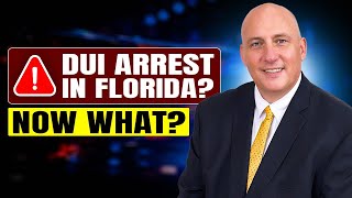 What Happens After a DUI Arrest in Florida | Magilligan Law