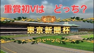 【スタポケ+】2023年 東京新聞杯 シミュレーション