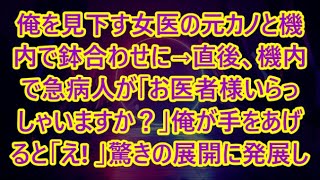 俺を見下す女医の元カノと機内で鉢合わせに→直後、機内で急病人が「お医者様いらっしゃいますか？」俺が手をあげると「え! 」驚きの展開に発展し   【いい話・朗読・泣ける話】