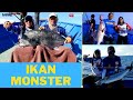 Ikan-ikan Monster Menyambar Umpan di Kepulauan Tanimbar Part 01 - Mata Pancing 18/11