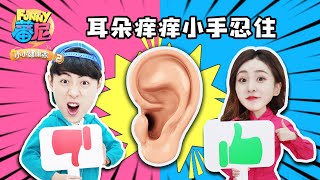 ear！pick one's ears！nail！Debate Competition！Doctor！family！diet！Habit！health！healthy！Fun！harm！