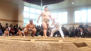 20161015東北高校選抜相撲団体準決勝 大曲農(秋田)ー平舘(岩手)、三本木農(青森)ー五農(青森)