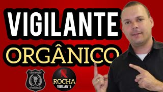 🚨 VIGILANTE ORGÂNICO - AS VANTAGENS DE NÃO SER DE EMPRESAS TERCEIRIZADAS | VIGILANTE ROCHA