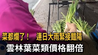 菜都爛了！ 連日大雨緊接豔陽 雲林葉菜類價格翻倍－民視新聞