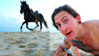 ALMOST TRAMPLED BY MEXICAN HORSE || Vlog_77