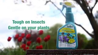 Safer® Brand Organic End ALL™ With Neem Oil Insect Killer