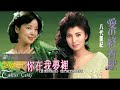 鄧麗君 テレサ・テン《愛の終著駅 》國語版《你在我夢裏 》，原唱八代亞紀《愛情終點站》