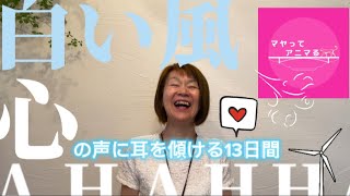 心の声に耳を傾ける13日間🌪️🤍