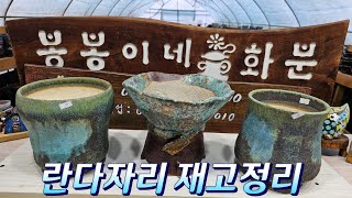 1월20일 #봉봉이네화분 #수제다육공방분 #오전영상 란다자리재고정리합니다