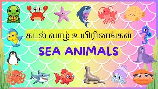 கடல்வாழ் உயிரினங்கள் | Learn Sea animals names video for kids in Tamil \u0026 English#arumbugalulagam