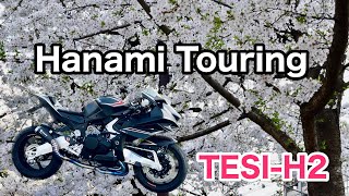 【Bimota Tesi-H2】Hanami touring \