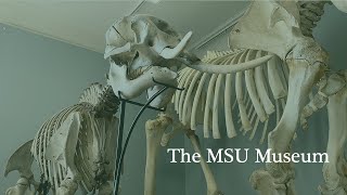 Step inside an MSU Icon -Mikayla Conners