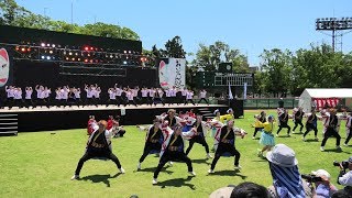 「 天狗ぅ 」豊川おいでん祭2019【野球場メイン】