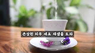 아침에 일어나서 마시는 '따듯한 물한잔'의 효능 12가지