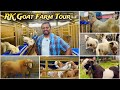 1st Full Tour of RK Goat Farm on FSA Entertainment | 30K Giveaway