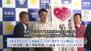 【千葉県市原市】平成29年5月30日　市長定例記者会見