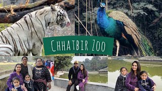 Visit Chhatbir Zoo with family / Well spend sunday /zoo vlog / Picnic day  #sakshiakshayvermavlogs