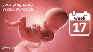 17 Weeks Pregnant - Natural Pregnancy Week-By-Week