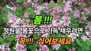 봄이 오고 있어요  정원을 봄꽃으로 화사하게 꾸미세요