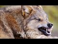 Powerful Sermon: Beware of False Prophets