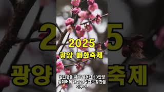 2025년 제24회 광양매화축제