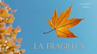 La Fragilità | Lorenzo Fiorentino