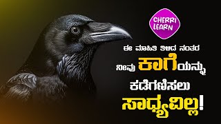 ಕಾಗೆ ಸಾಮಾನ್ಯವಾದ ಹಕ್ಕಿಯಲ್ಲ! | Know how intelligent the crows are!