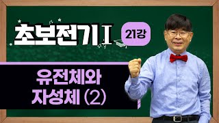 정용걸 교수의 초보전기 Ⅰ - 21. 유전체와 자성체(2)