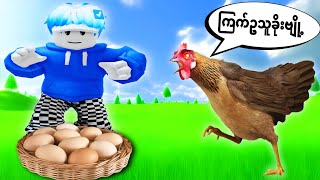 ကြက်ဥသူခိုး ဘရိုအယ်လ်ဝင်/ Chicken Roblox Gameplay