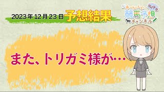 【JRA】12月23日中央競馬　中山・阪神　予想結果の的中率・回収率